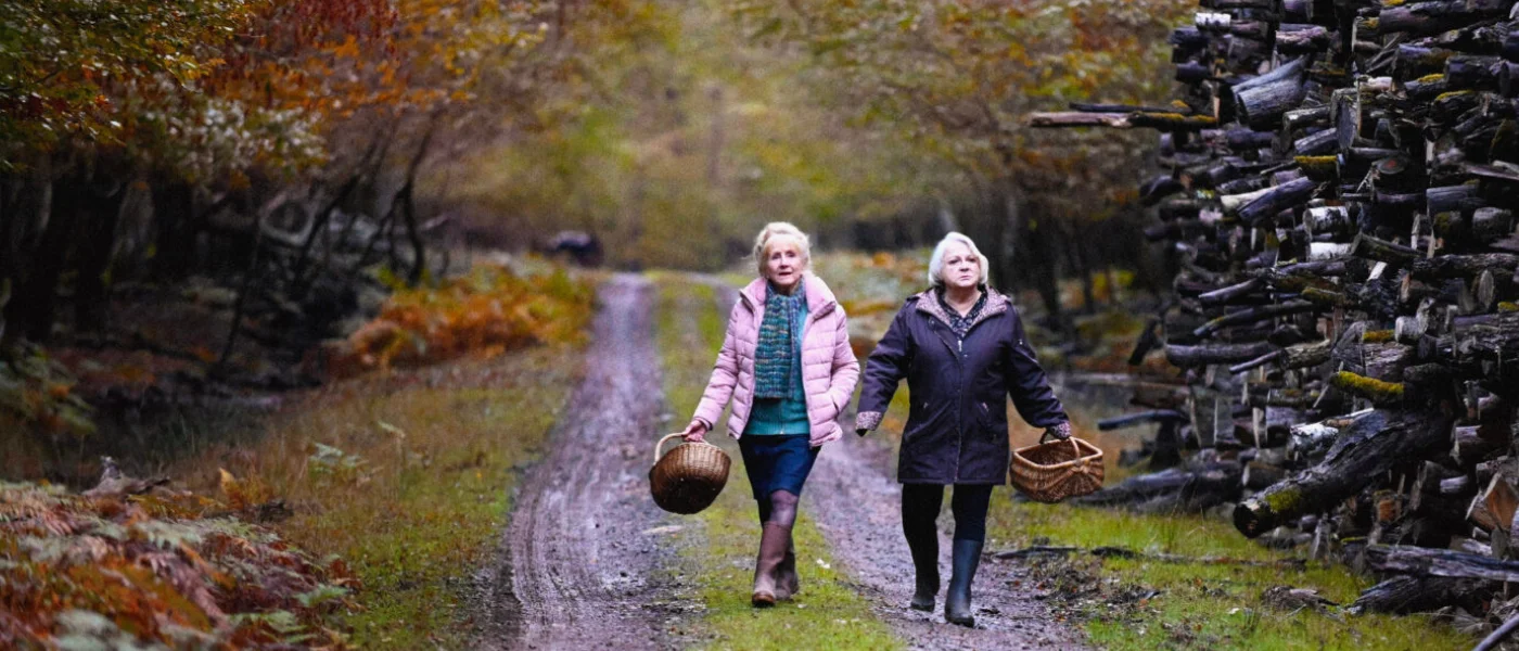Ohjelmistomuutokset ja -lisäykset – When Fall Is Coming palaa ohjelmistoon