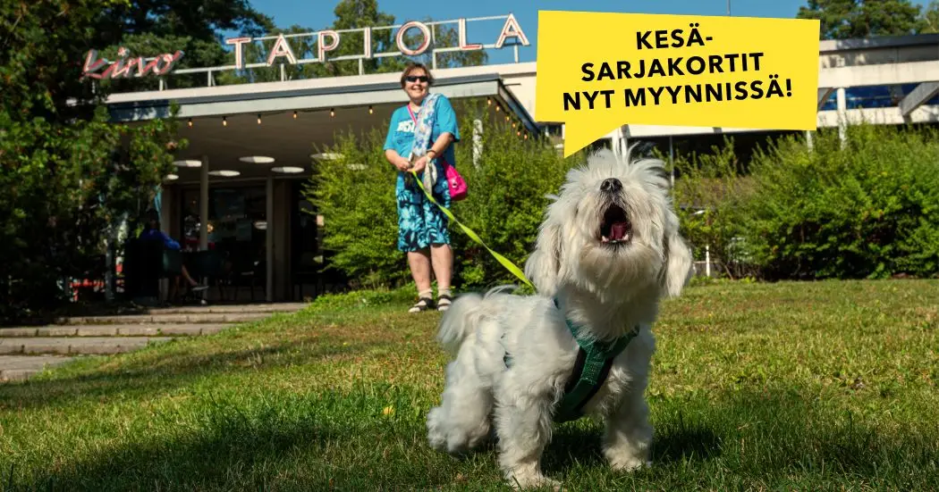 Edulliset kesäsarjakortit nyt saatavilla!